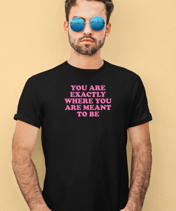 You Are Exactly Where You Are Meant To Be Shirt3