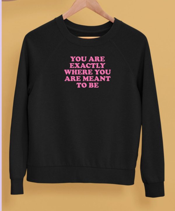 You Are Exactly Where You Are Meant To Be Shirt5