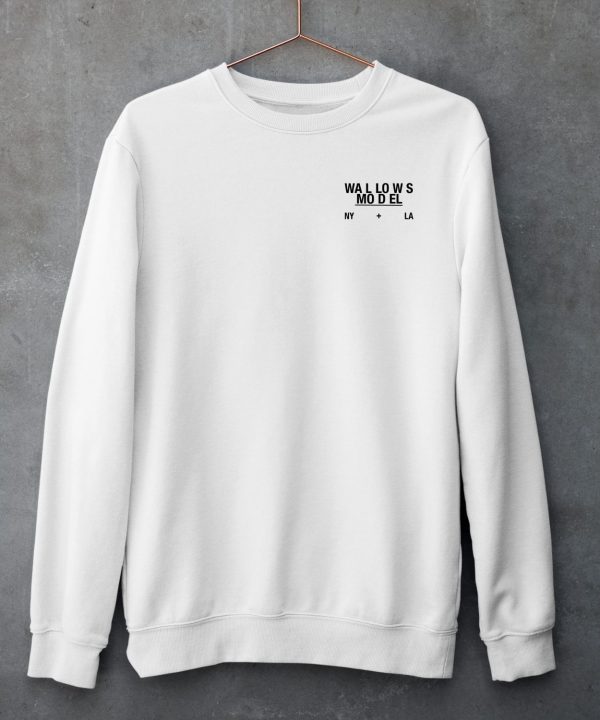 Wallows Model Pop Up Shirt6